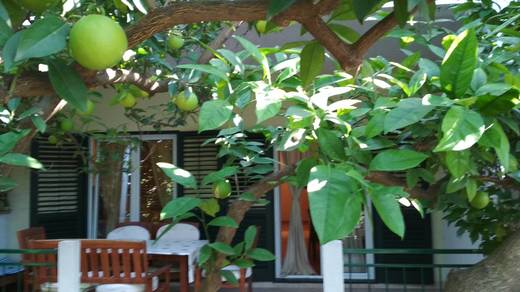 Tučepi - apartmán Paola A (8).jpg